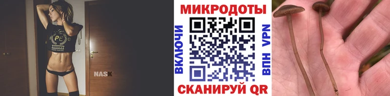 Галлюциногенные грибы Cubensis  Шлиссельбург 